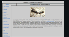 Desktop Screenshot of formicidae.be
